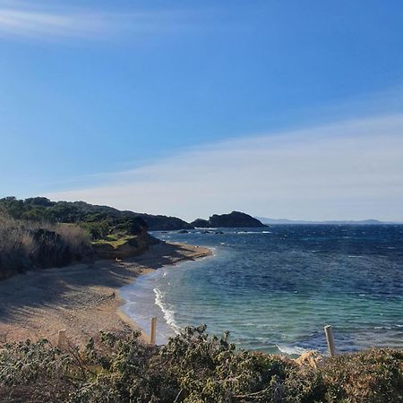 Appartement T2 - Hyeres Gare Ngoại thất bức ảnh